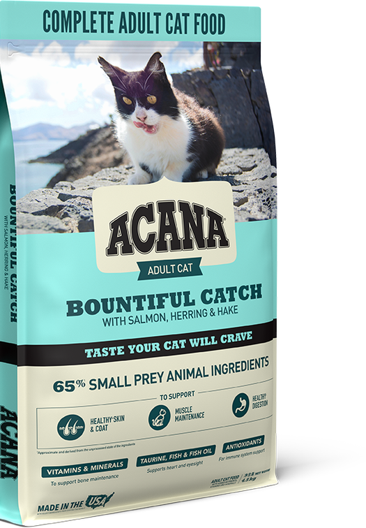 Bountiful Catch